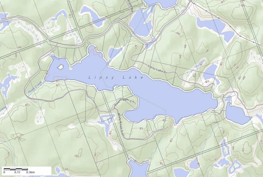 Topographical Map of Lipsy Lake in Municipality of Dysart et al and the District of Haliburton
